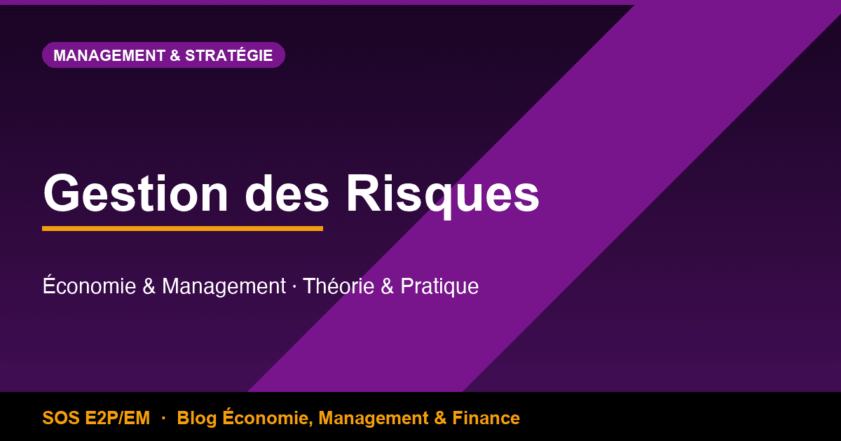 Gestion des Risques en Économie & Management : Approches Théoriques et Applications Pratiques
